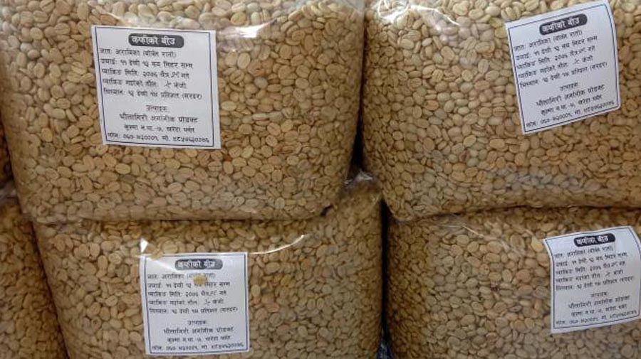 Arabica Coffee Seed
